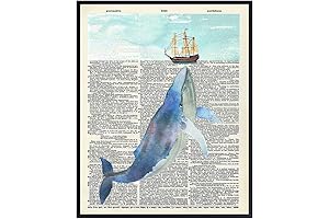 Whale Picture | Ocean Wall Art | Beach Decor