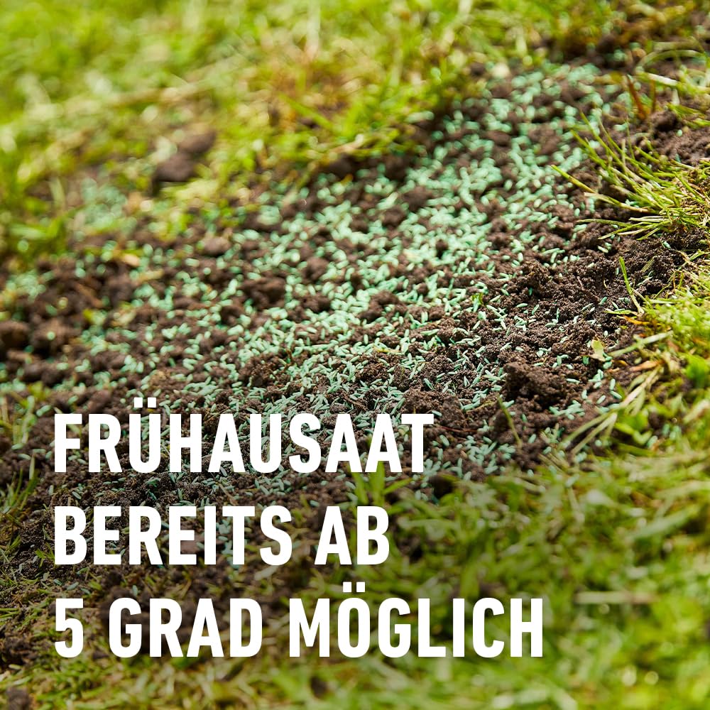 COMPO SAAT Nachsaat-Rasen - für Lücken und kahle Stellen - zuverlässiger Nachsaatrasen - hochwertige Saatgutmischung mit Premium-Mantelsaat - 2 kg für 100 m²