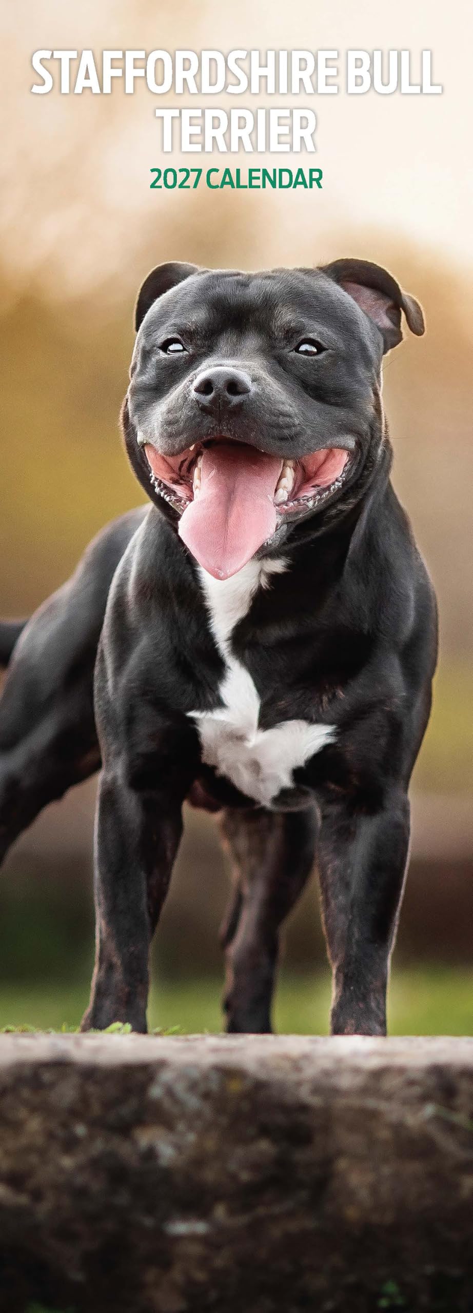 Staffordshire Bull Terrier 2027 Slim Calendar