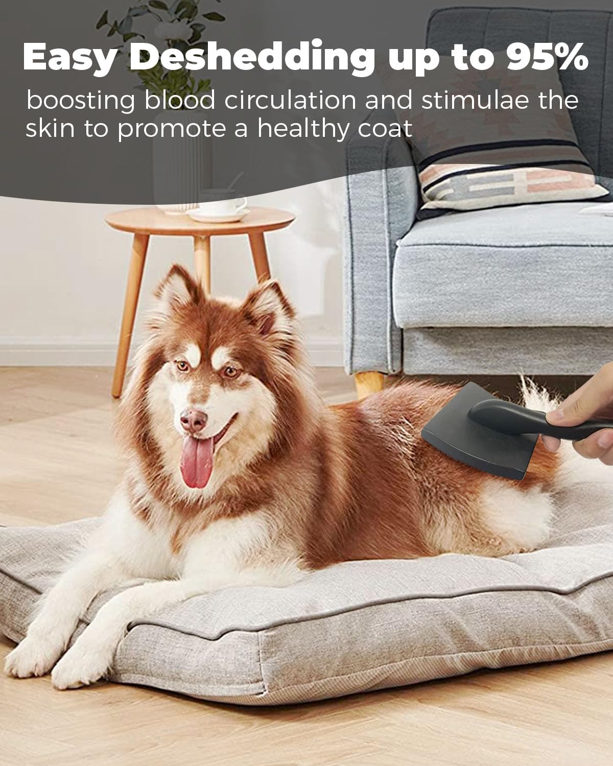 Professional Pet Slicker Brush for Long Haired Dogs&Cats Large Grooming Tool for Dematting, Detangling, Removes Loose Fur,Suitable for Doodles,Poodles,Goldendoodle, Labradoodle, Long Thick Curly Coats