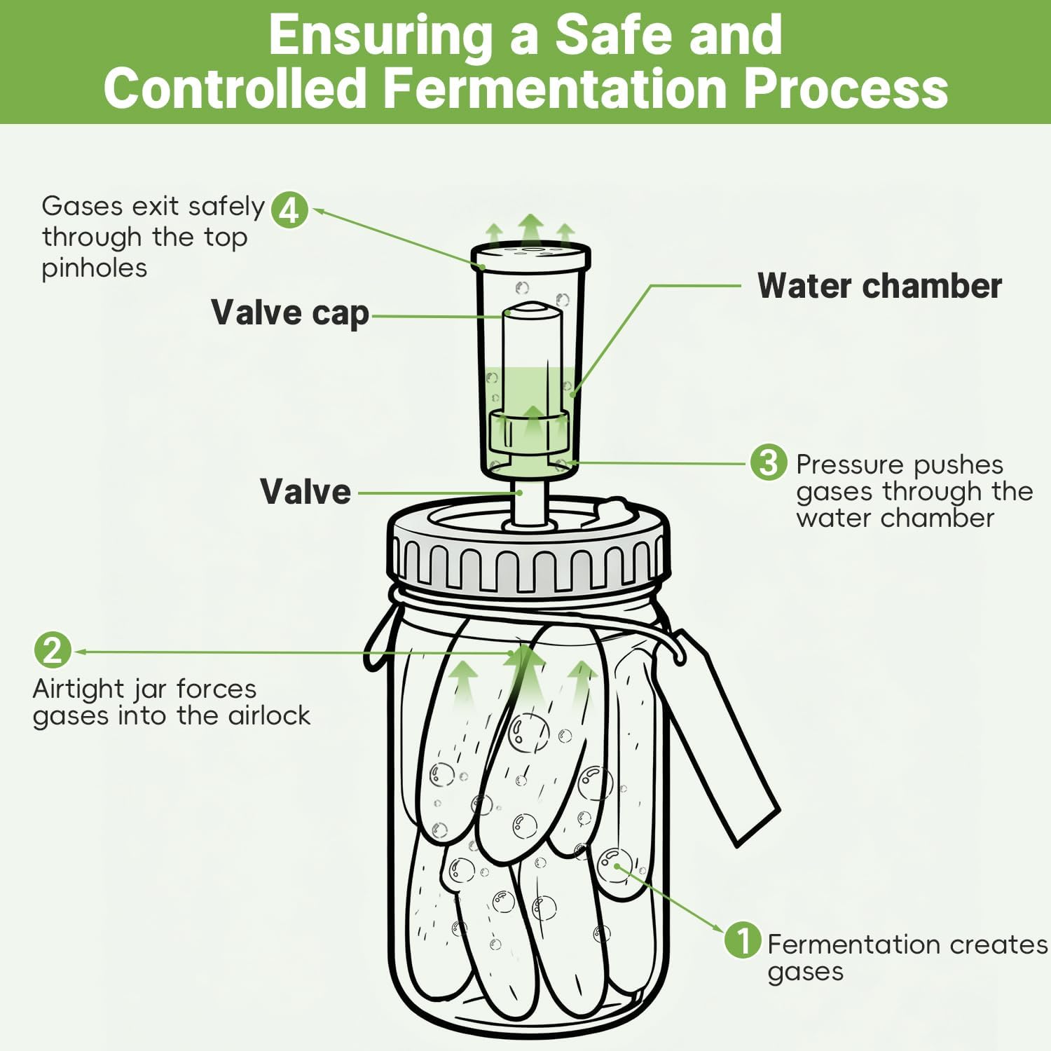 4-Pack Mason Jar Fermentation Kit(Jars Included) Four 32oz Fermentation Jars with Plastic Fermenting Lids, Airlocks, Silicone Rings & Grommets, and Glass Weights for Easy Fermenting & Storage - Image 6