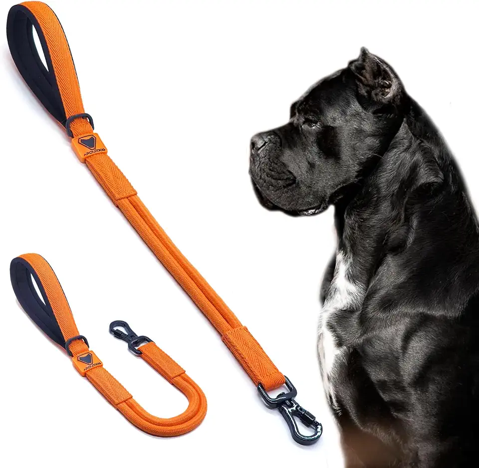 Guia Curta 60cm Para Cães Fortes Grande e Médio Porte Cachorro de assistência (LARANJA)