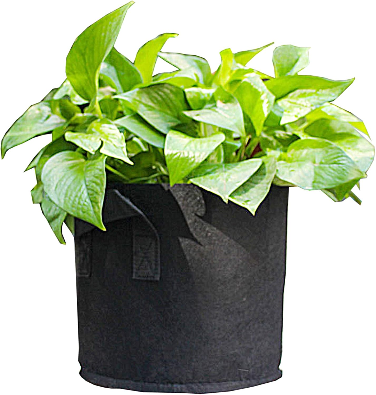 FixtureDisplays® 3 Gallon Capacity Black Color Plant Grow Bags 12PK Aeration Fabric Vegetable Flower Pots with Handles Mobile Gardening Container 9.8 X 9.8 X 9" 15393-FBA