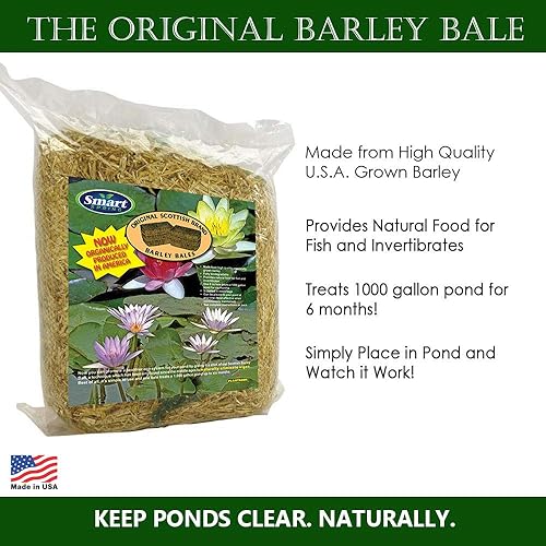 Miniatura 3 de Clear-Water Bales de paja de cebada, troncos de estanque de 8 onzas, trata 1000 galones durante 6 meses (paquete de 1)