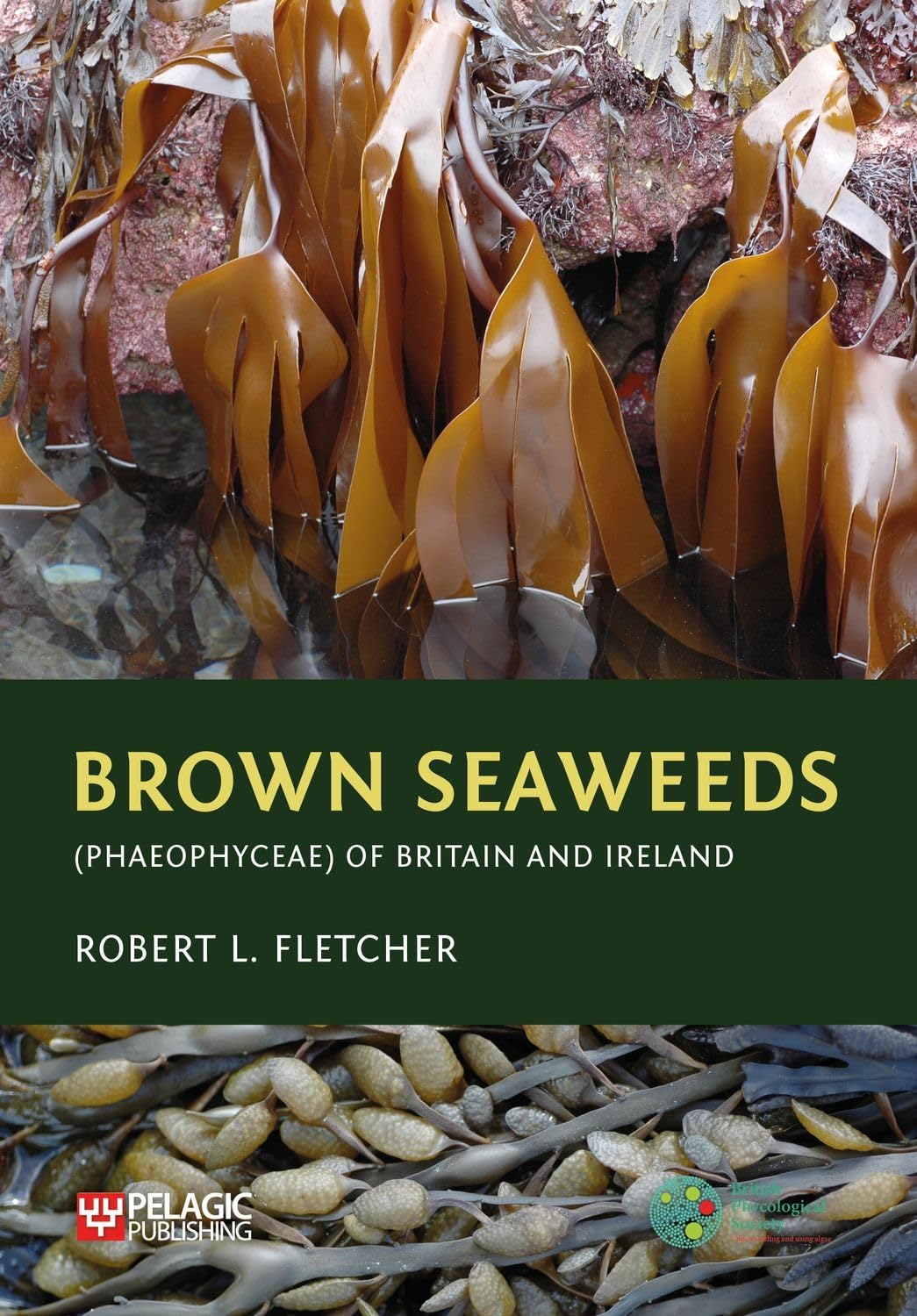 Brown Seaweeds (Phaeophyceae) of Britain and Ireland (Seaweeds of the British Isles)