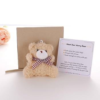 Anxiety Teddy Bear Emotional Support Gift Worry Bear Gift Kid Plush Toy