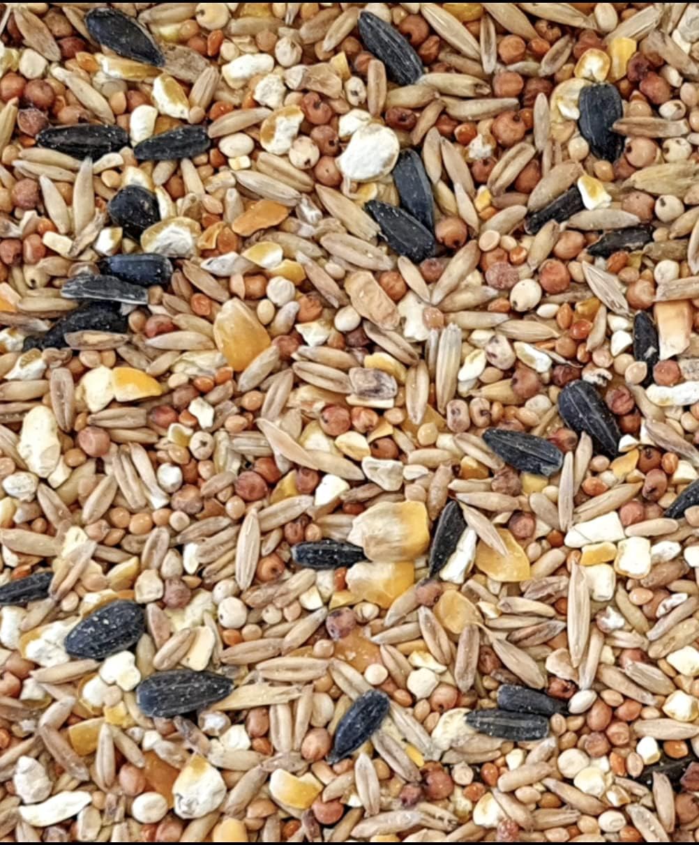 Extra Select No Wheat Wild Bird Food Wheat Free Bird Seed for All