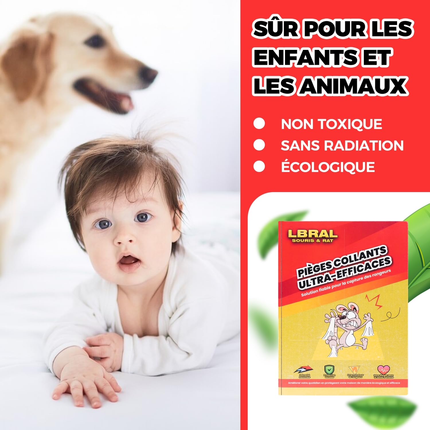 Pièges à Souris & Rats – Lot de 20 Plaques de Glu Ultra-Collantes | Pliable, Non Toxique, Facile à Installer | Usage Intérieur & Extérieur | Format XL Anti-Rongeurs