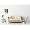 Product Photo 8