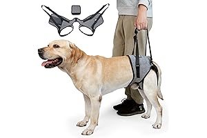 Dog Lift Harness for Back Leg Support and Mobility Assistance