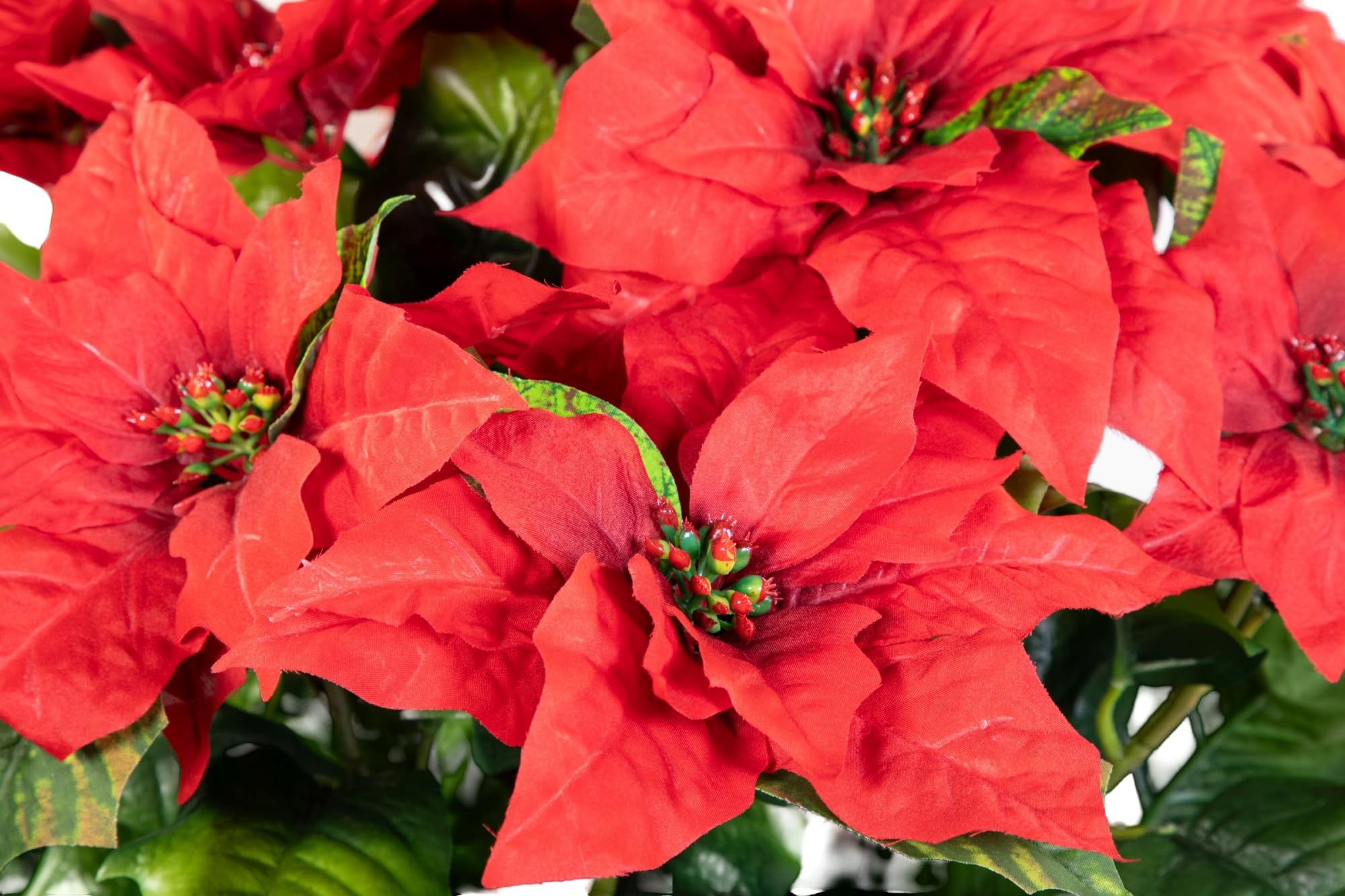 Seidenblumen Roß Weihnachtsstern 65x60cm im Topf rot PM künstliche Pflanzen Blumen Kunstpflanzen Kunstblumen Poinsettie