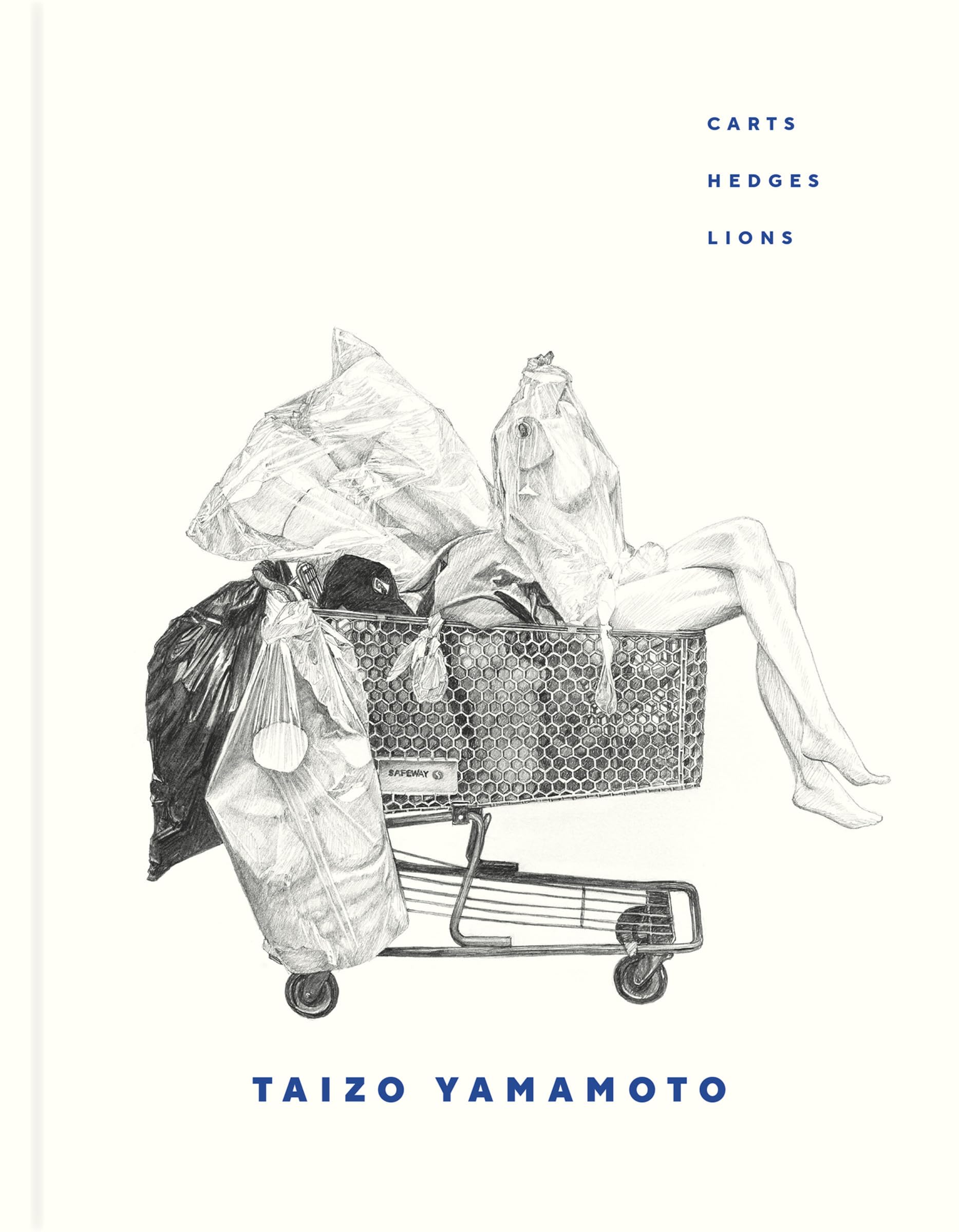 Taizo Yamamoto Carts Hedges Lions monographie photographie japonaise contemporaine