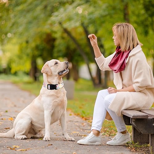 Vista 109 de Collar reflectante con hebilla para perro, ajustable, collares de seguridad de nailon para perros pequeños, medianos y grandes, color naranja