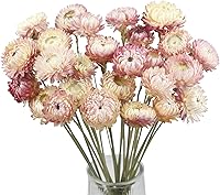 CITYES 20 Pcs Natural Dried Pink Daisy Flowers Bouquet with Stems - Rustic Wedding Farmhouse Vase Decor DIY Arrangements
