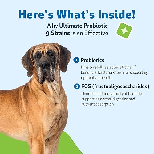 Miniatura 6 de Pet Wellbeing - Ultimate Probiotic 9 cepas para gatos y perros - Apoyo natural para la digestión y la salud del tracto urinario, 5.64 oz.