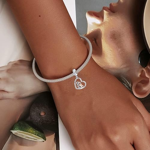 Miniatura 4 de Colgante de corazón de hermana para Pandora Braceelt grabado Always My Sister Forever My Friend, Diamante de imitación Metal, Circonita Cúbica