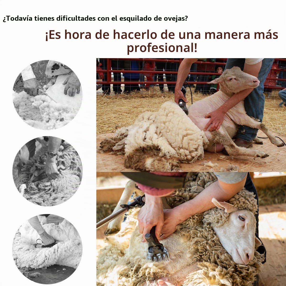 Vinteky Esquiladora Eléctrica Profesional de 690 W para Oveja, Esquiladora para Ovejas Eficiente, Ahorro de Trabajo (Negro)
