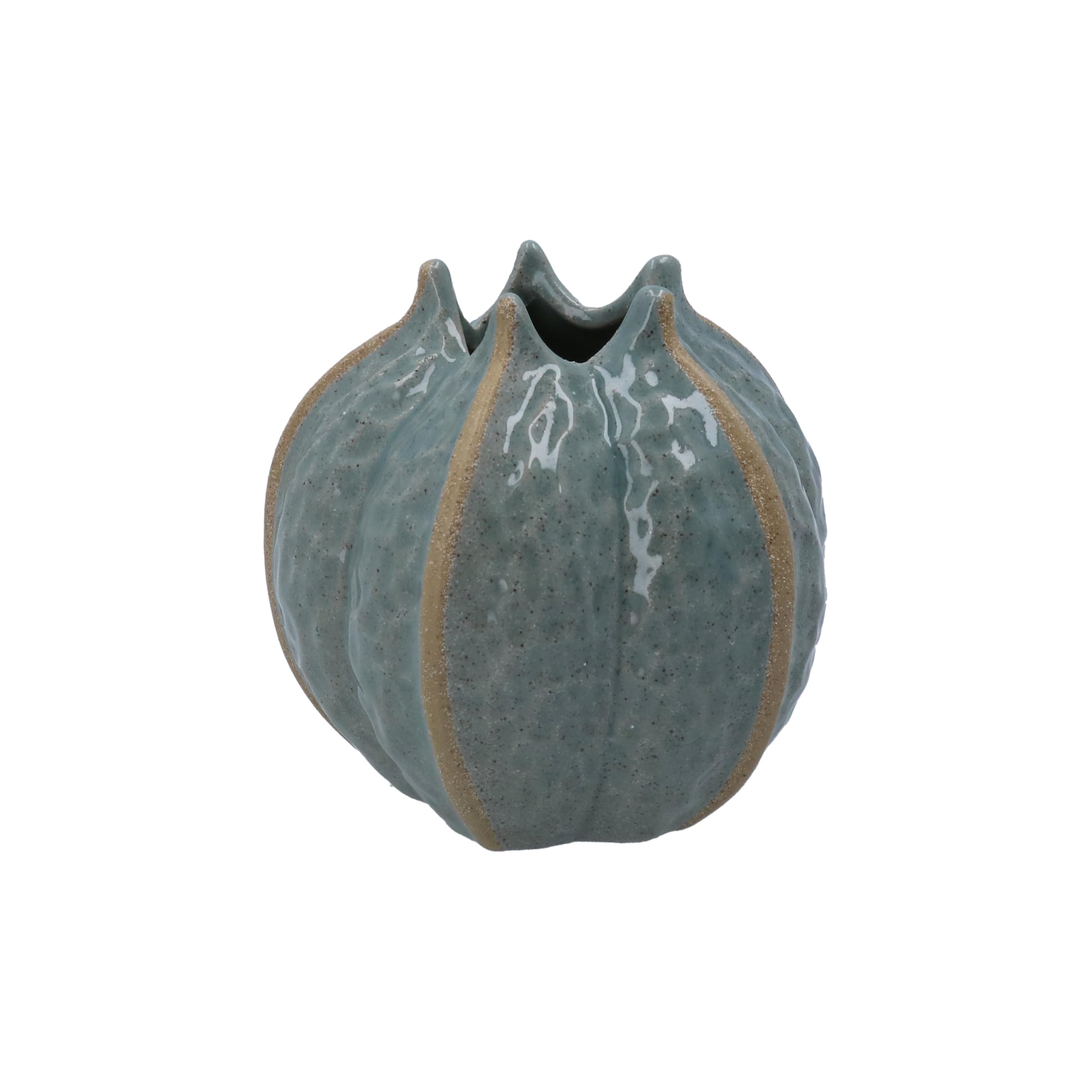 Gisela Graham Seed Pod Decorative Vase, Blue, 11cm
