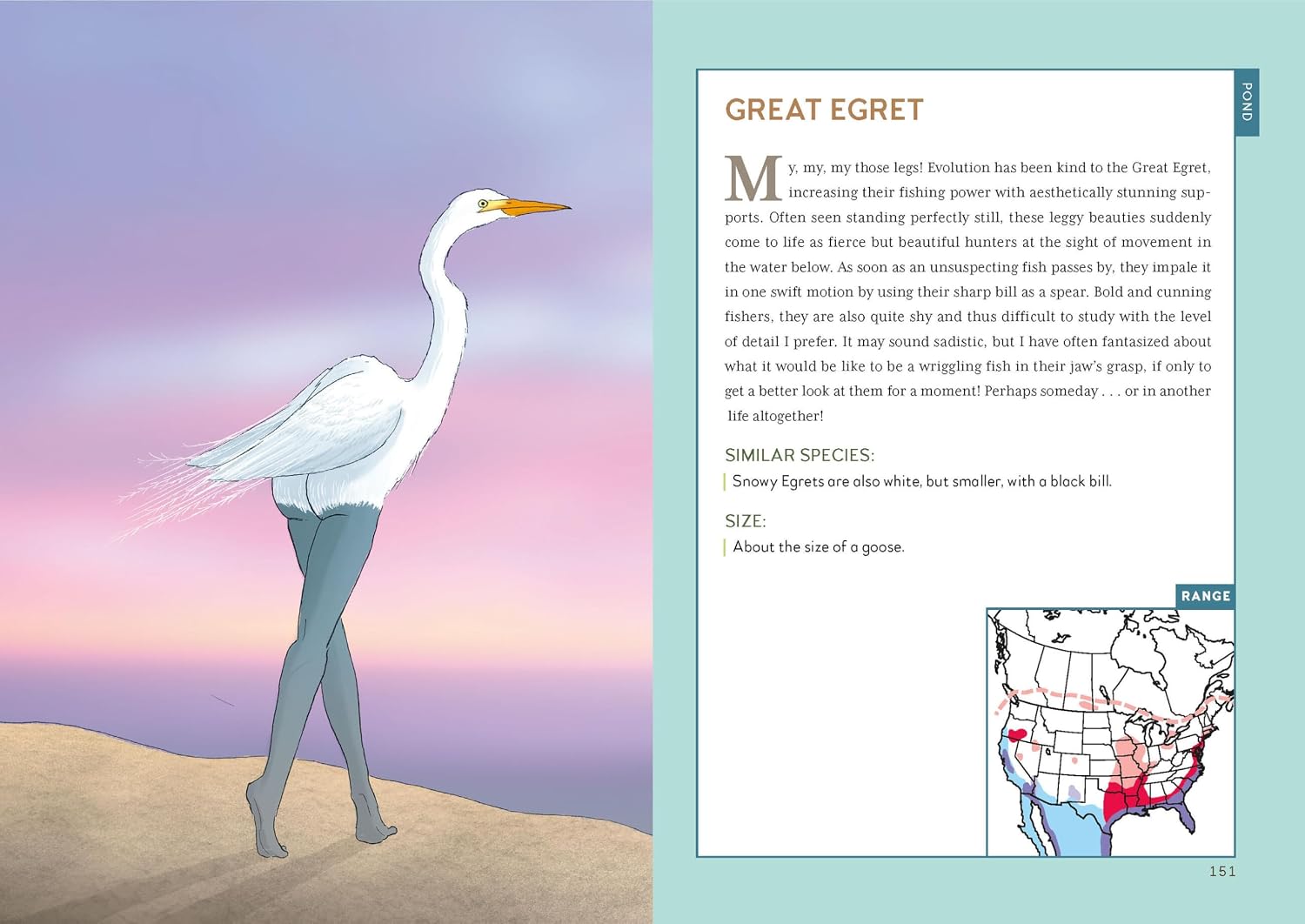 Extremely Accurate Birds: An Anatomically Precise Field Guide to Common Backyard Birds of North America