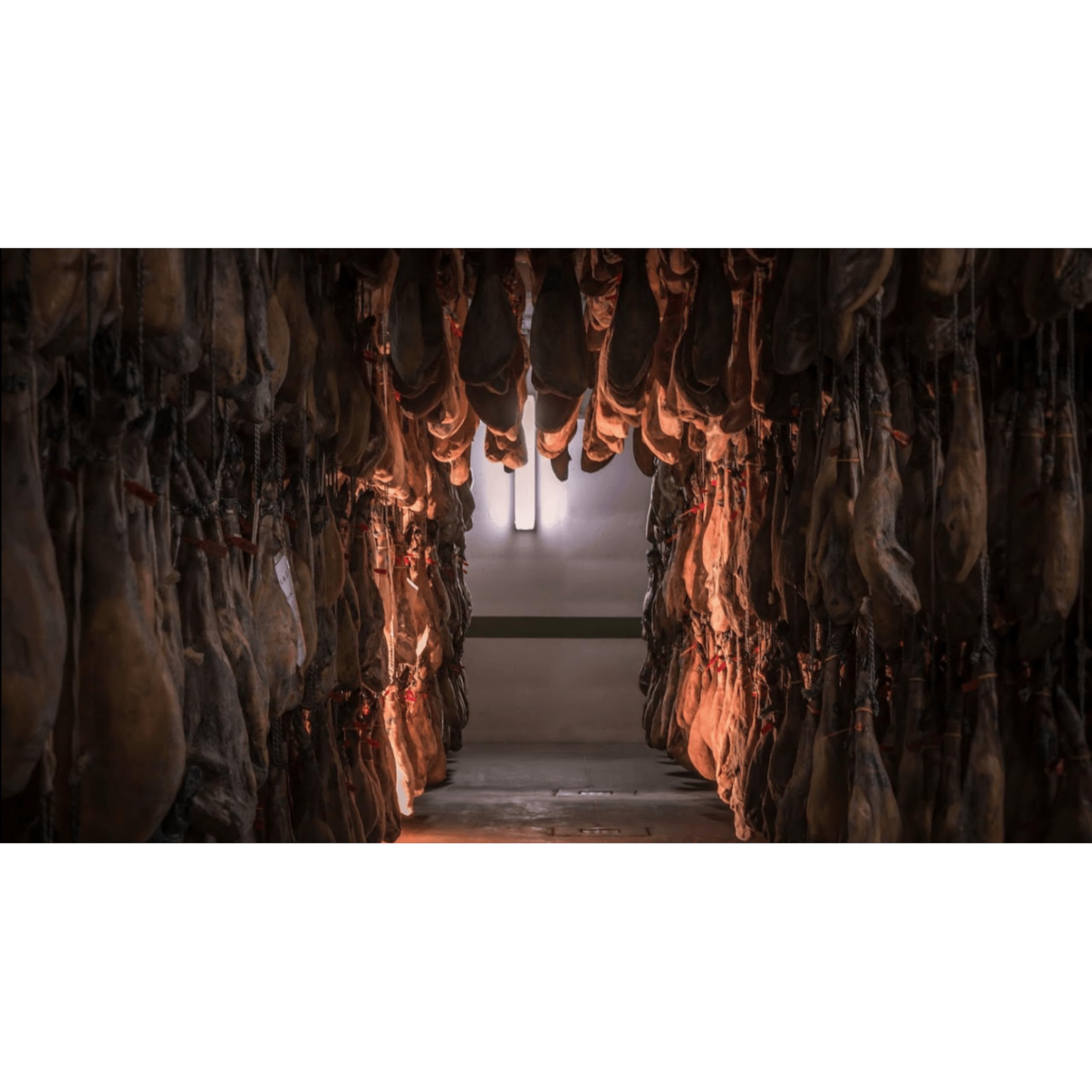 Jamón Ibérico de Cebo de Campo – El auténtico sabor de la dehesa española (8-9 kg)