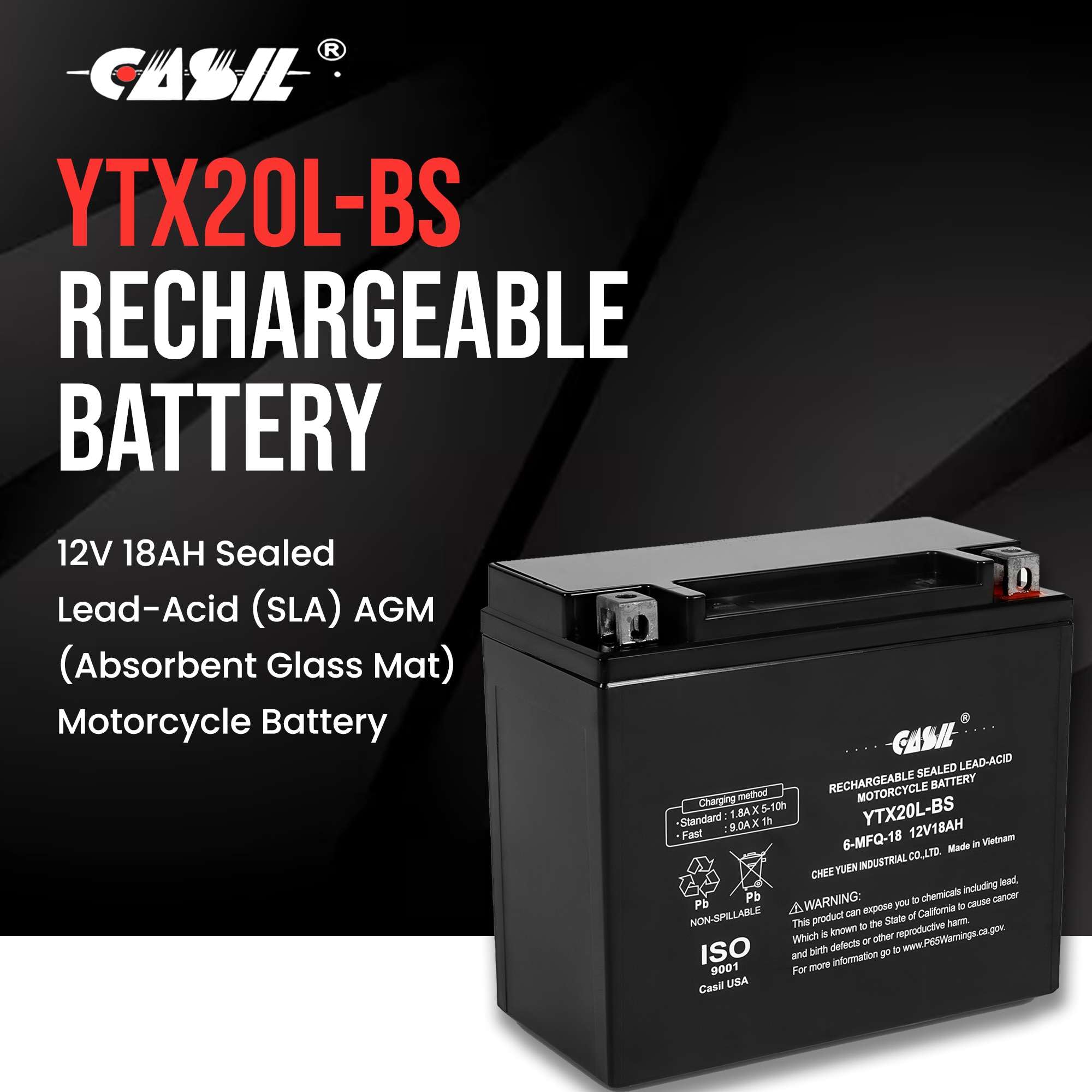 バット mtom2002 Amazon.com: YTX20-BS AGM BATTERY Replacement for KAWASAKI