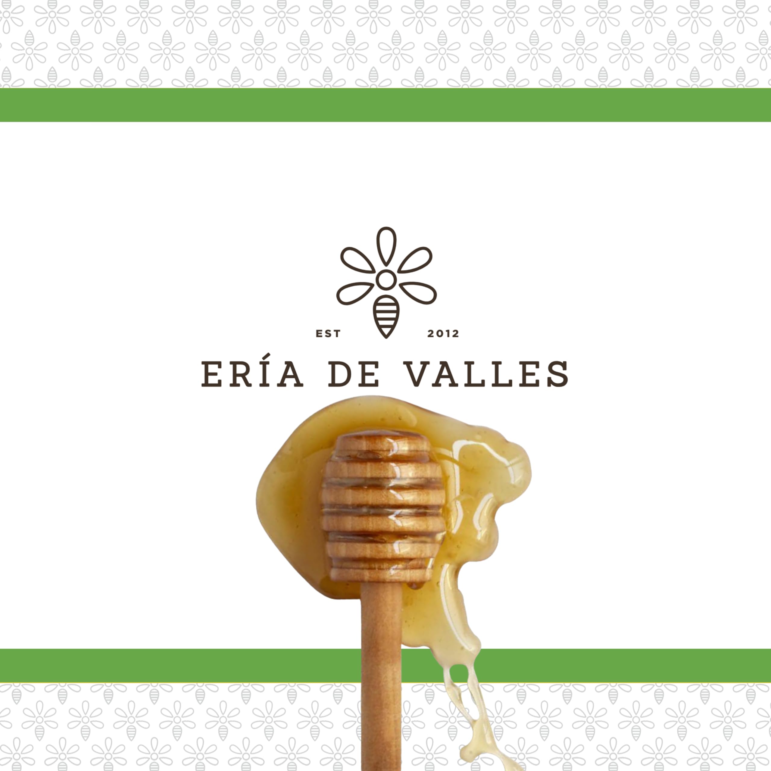 Ería de Valles – Miele di eucalipto naturale al 100% delle Asturie – Aroma floreale e fresco, sapore delicato e persistente – Miele grezzo fatto a mano (750 g)