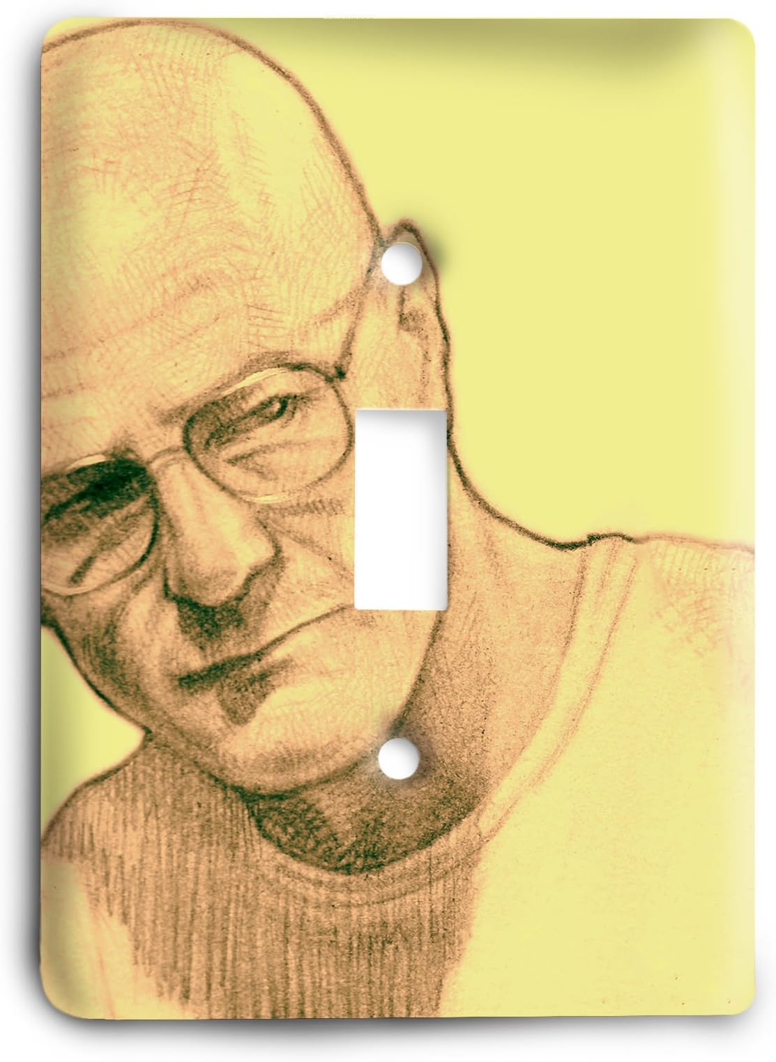 Breaking Bad G3 6_1 Light Switch Cover