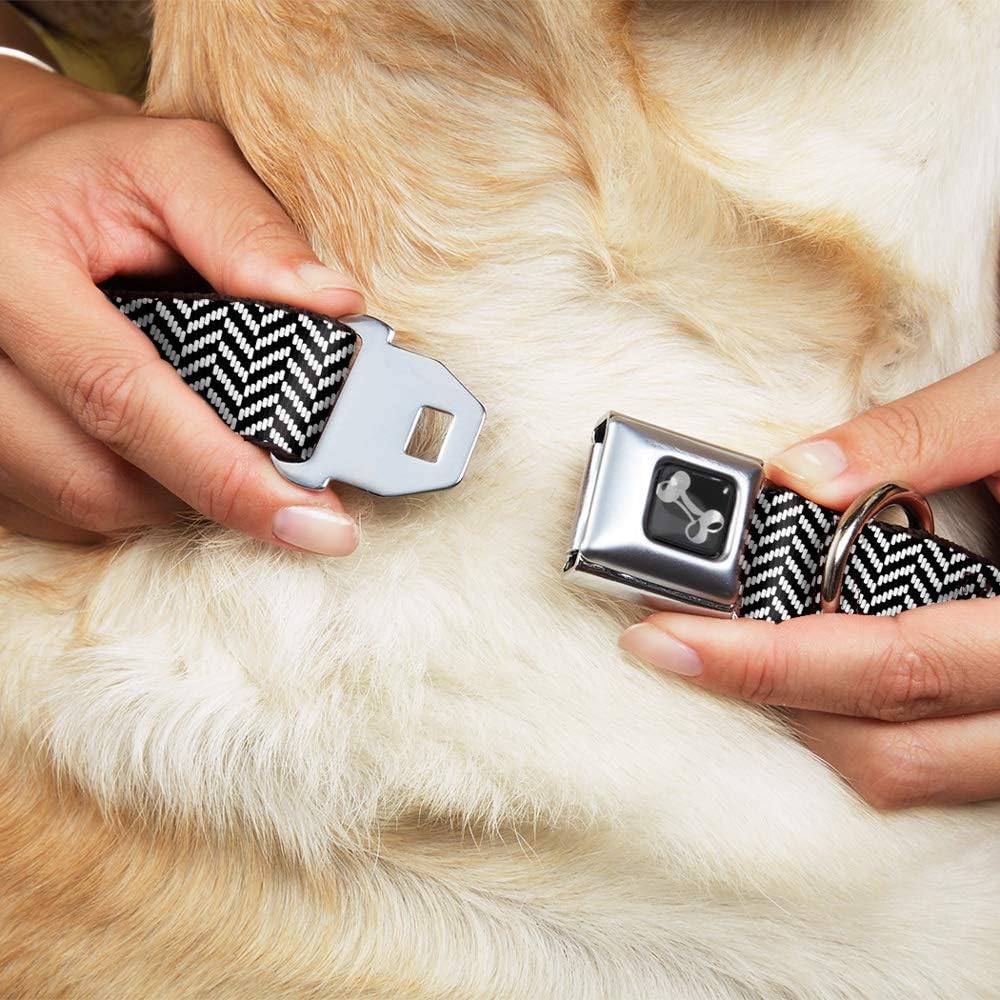 Buckle-Down Seatbelt Buckle Dog Collar - Herringbone Jagged Black/White - 1" Wide - Fits 15-26" Neck - Large, DC-W30823-L