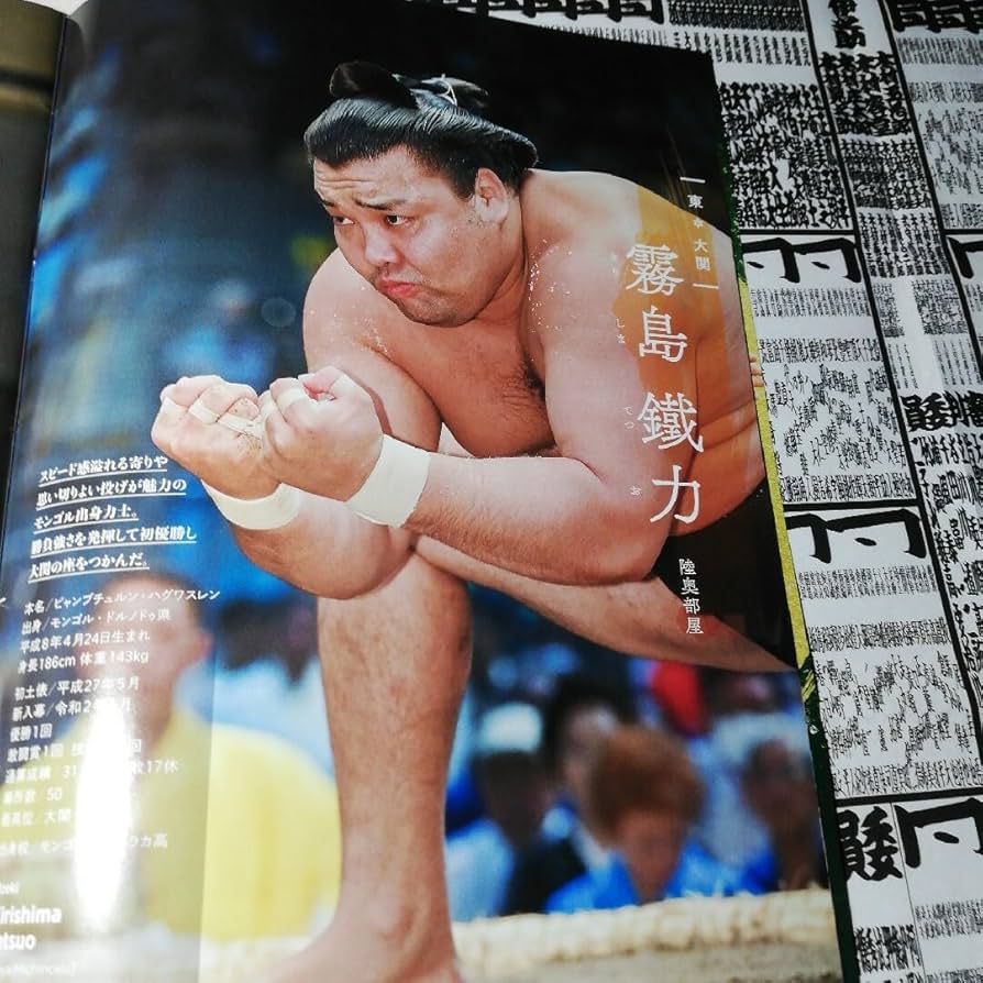 映像で見る国技大相撲 DVDマガジン 全20巻セット 映像で見る国技大相撲全20巻コンプリートセット全冊子付 Amazon