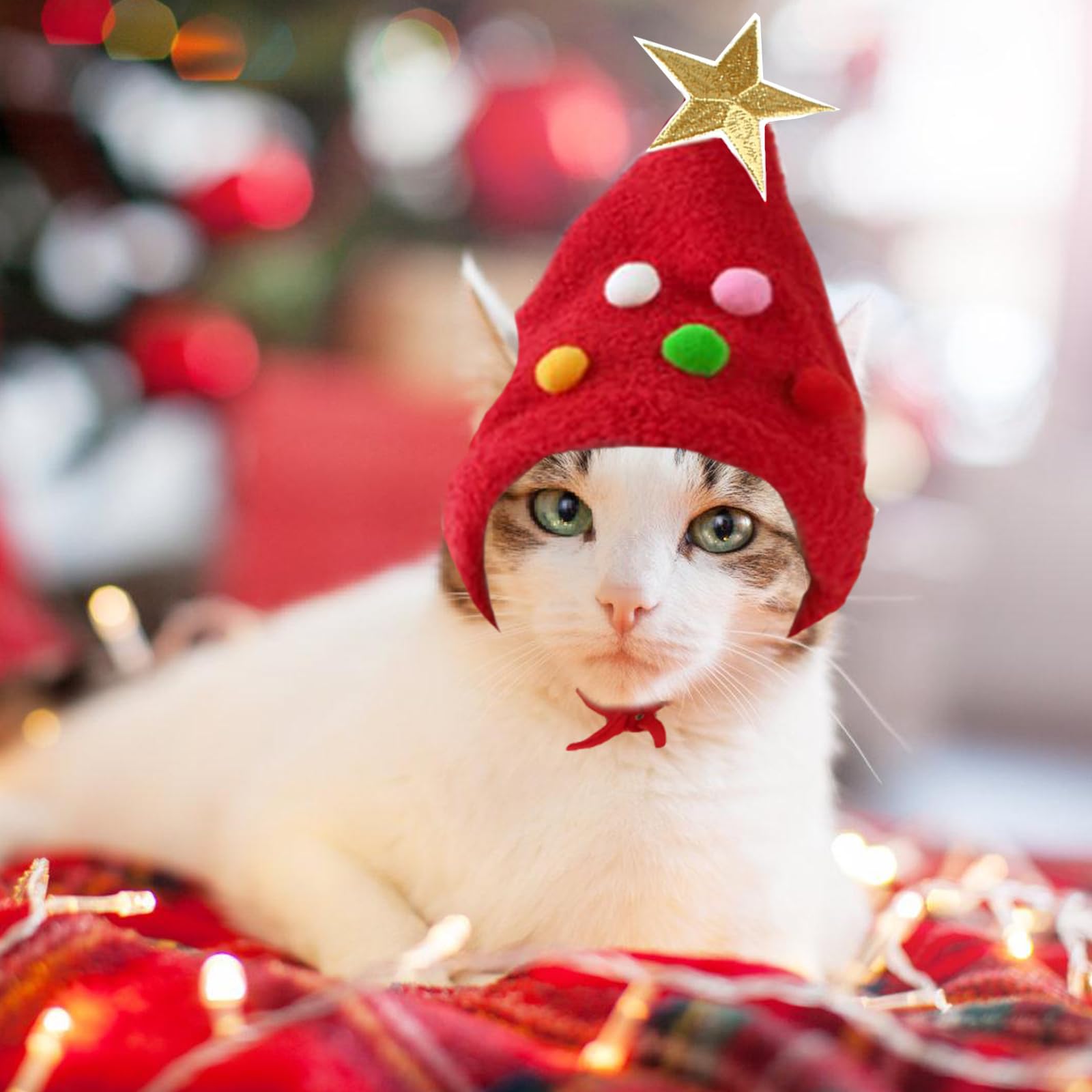 Vestito Babbo Natale Per Cani Vestito Natale Per Cane E Gatto