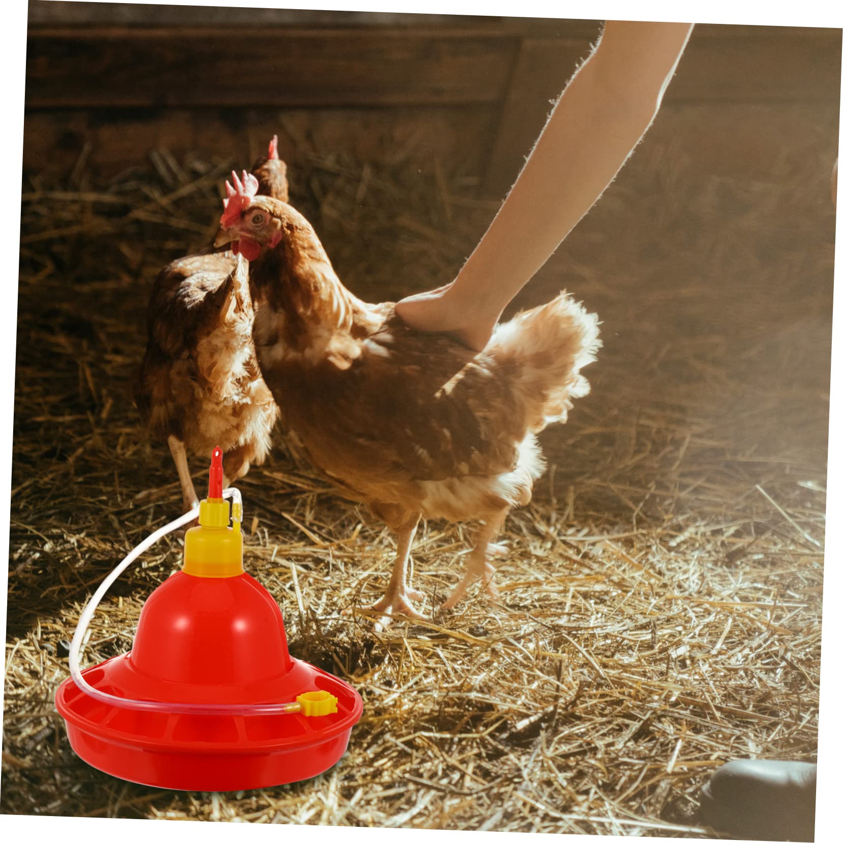 HANABASS Abbeveratoio Automatico per Pollame e Galline in Plastica Rossa, Erogazione Costante Dell'acqua, Resistente al Calore, per Uso Esterno e Domestico