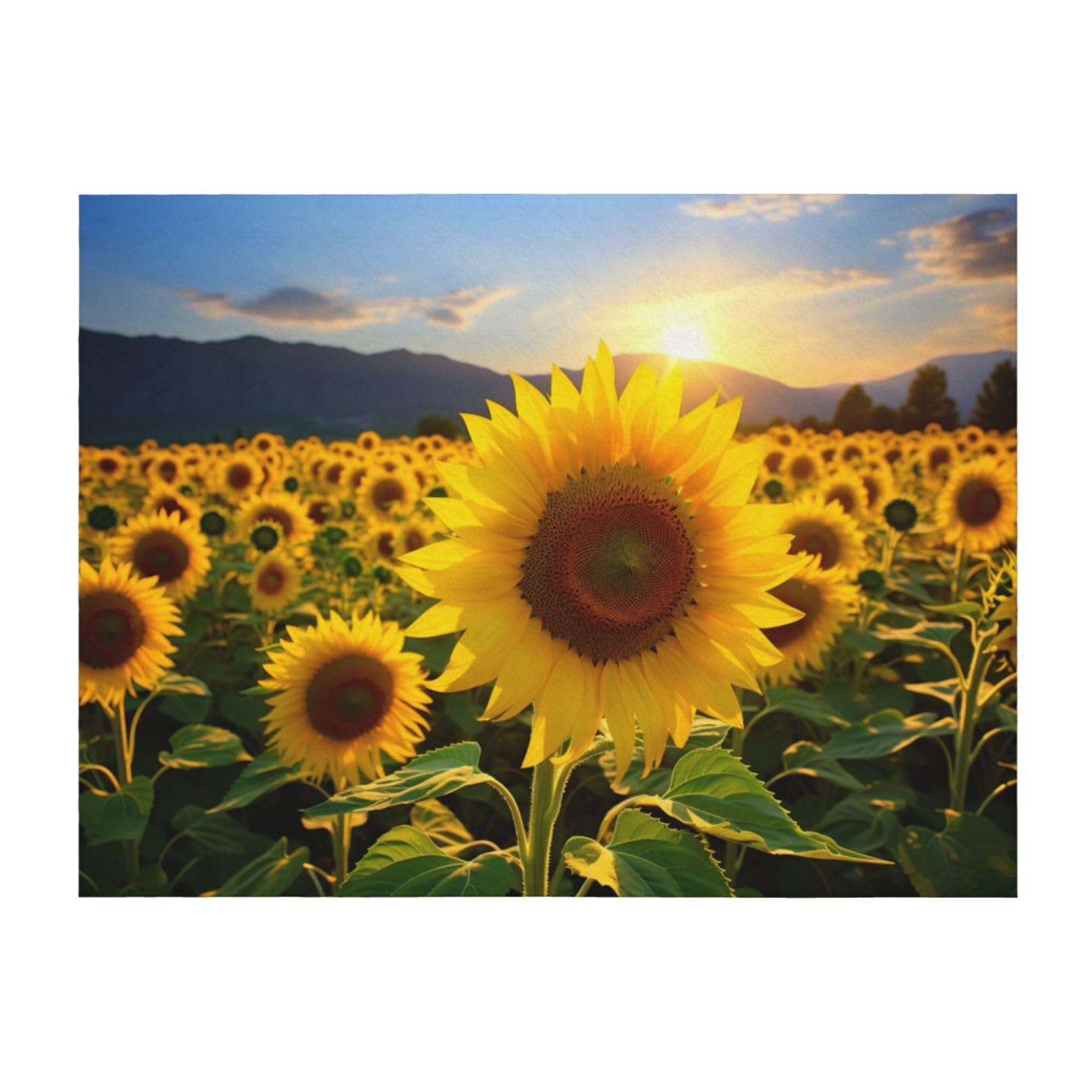 Couverture légère tournesols jaunes pour réchauffer votre intérieur