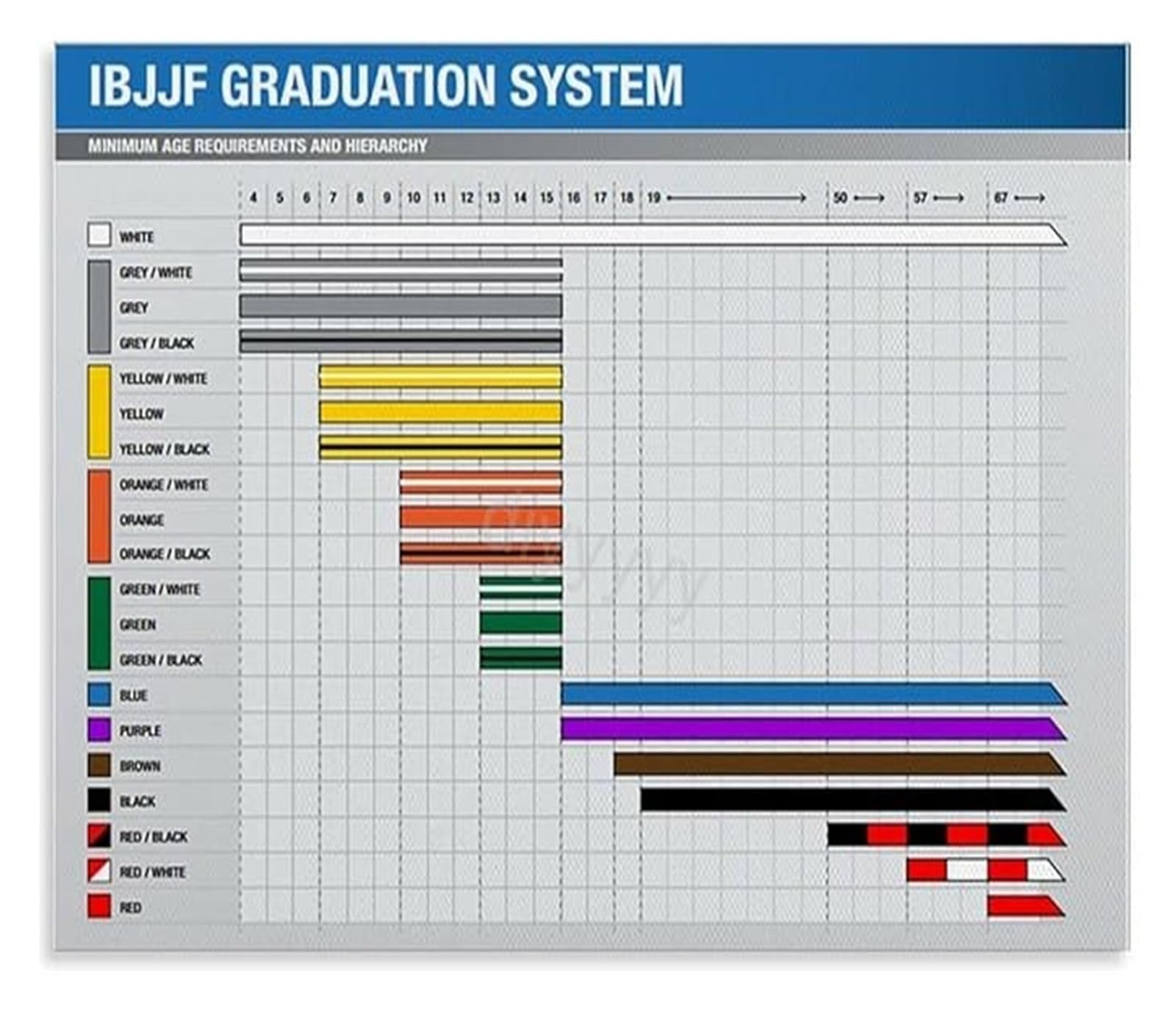 UYCUODLUY Brazilian Jiu Jitsu Belt System Poster Canvas Painting Martial Arts Rankings Wall-Art for Dojo Living Room(Framed,16x24inch(40x60cm))