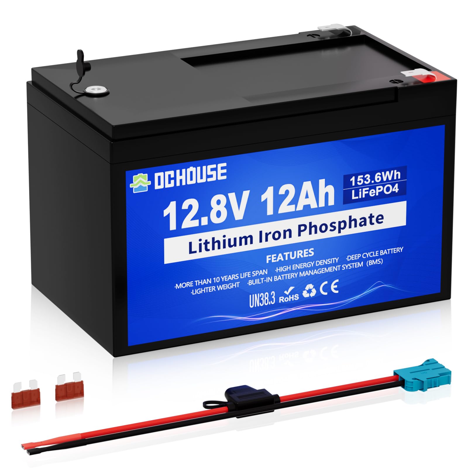 DCHOUSE 12V 12Ah LiFePO4 Lithium Battery, 10 Year Lifespan & 10,000+ Cycles, with 15A BMS, Safe & Lightweight for Power Wheels, Mobility Scooters, Trolling Motors, Kayak, Fish Finder, Ride-On Toys
