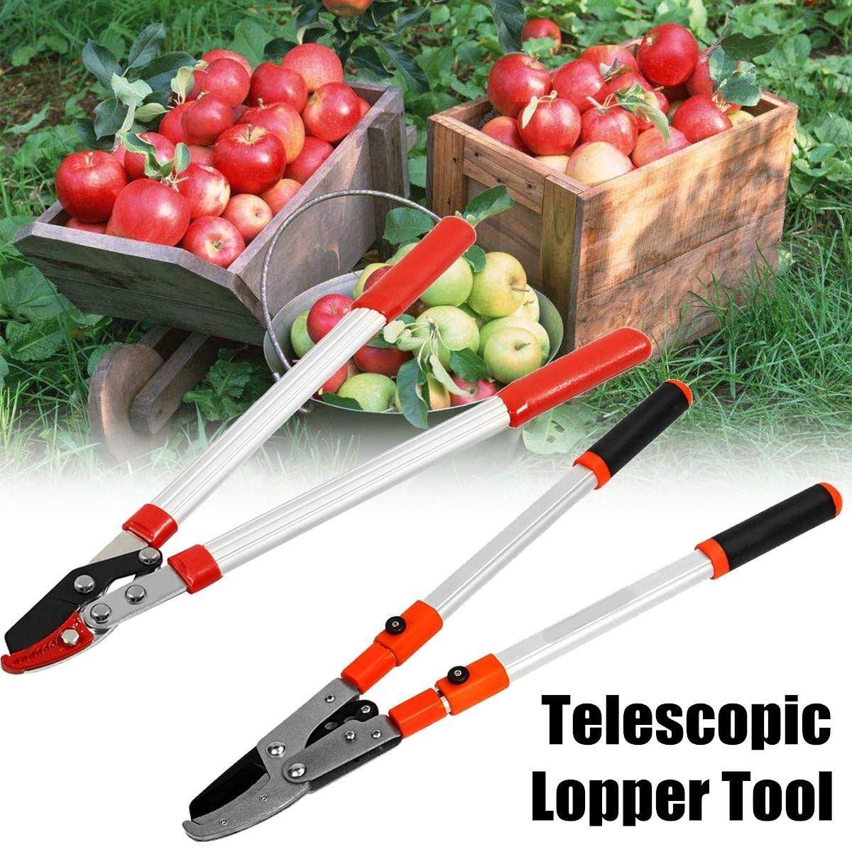 Attrezzi per potatura, cesoie a cricchetto telescopiche per Alberi, cesoie da Giardino estensibili, cesoie per Rami manuali