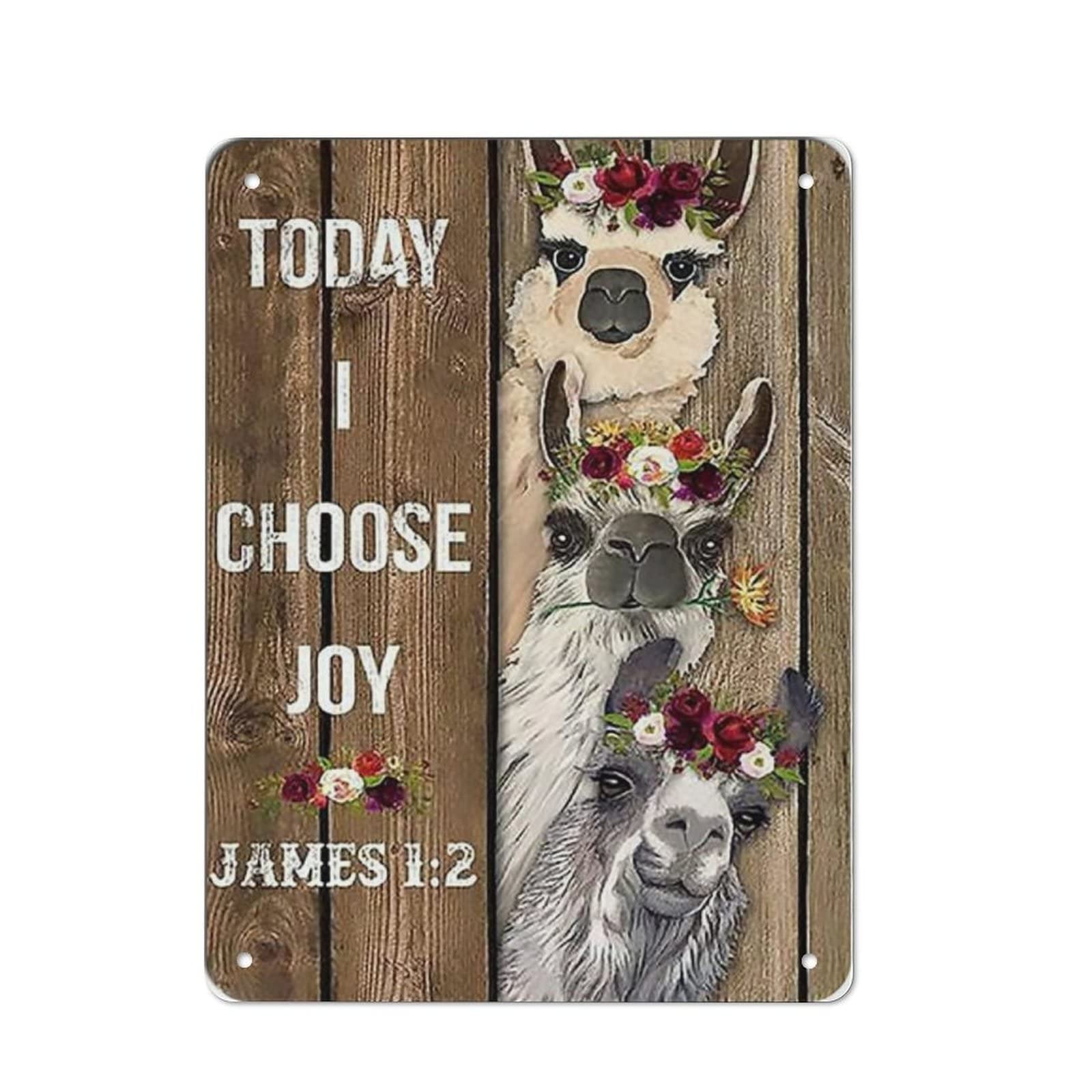 AOOEDM Today I Choose Joy Christian Jesus Lover Vintage Metal Sign Wall Decor Metal Plaque for Cafe Bar Pub Home Beer Retro Poster 16x12 Inch