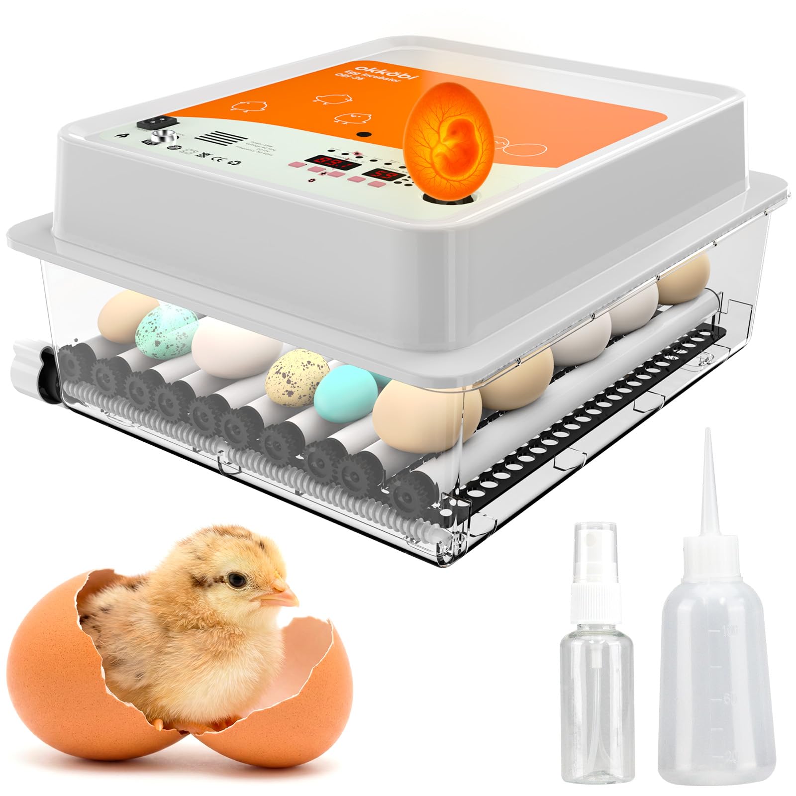 OBI-36 Couveuse Automatique – Incubateur à œufs pour 36 œufs avec Retournement Automatique - Couveuse Poule pour œufs de Poule, Caille et Canard - Orange
