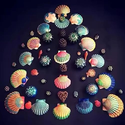 Miniatura 5 de 48 conchas de vieira natural, conchas de vieira blancas de 1.5 a 2 pulgadas, conchas pequeñas para manualidades, decoración de boda, fiesta temática