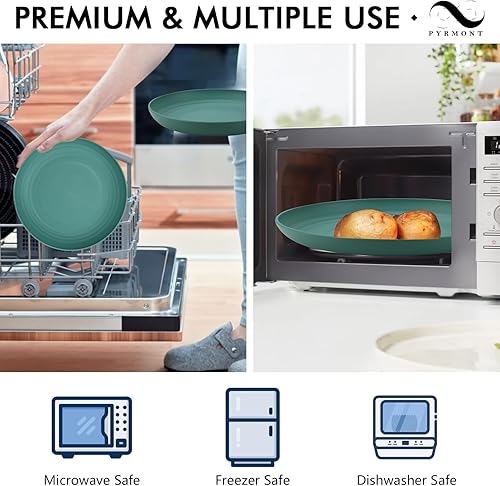 Miniatura 3 de PYRMONT Juego de 8 platos llanos de paja de trigo de 9 pulgadas, platos reutilizables alternativos para plástico, aptos para lavavajillas y