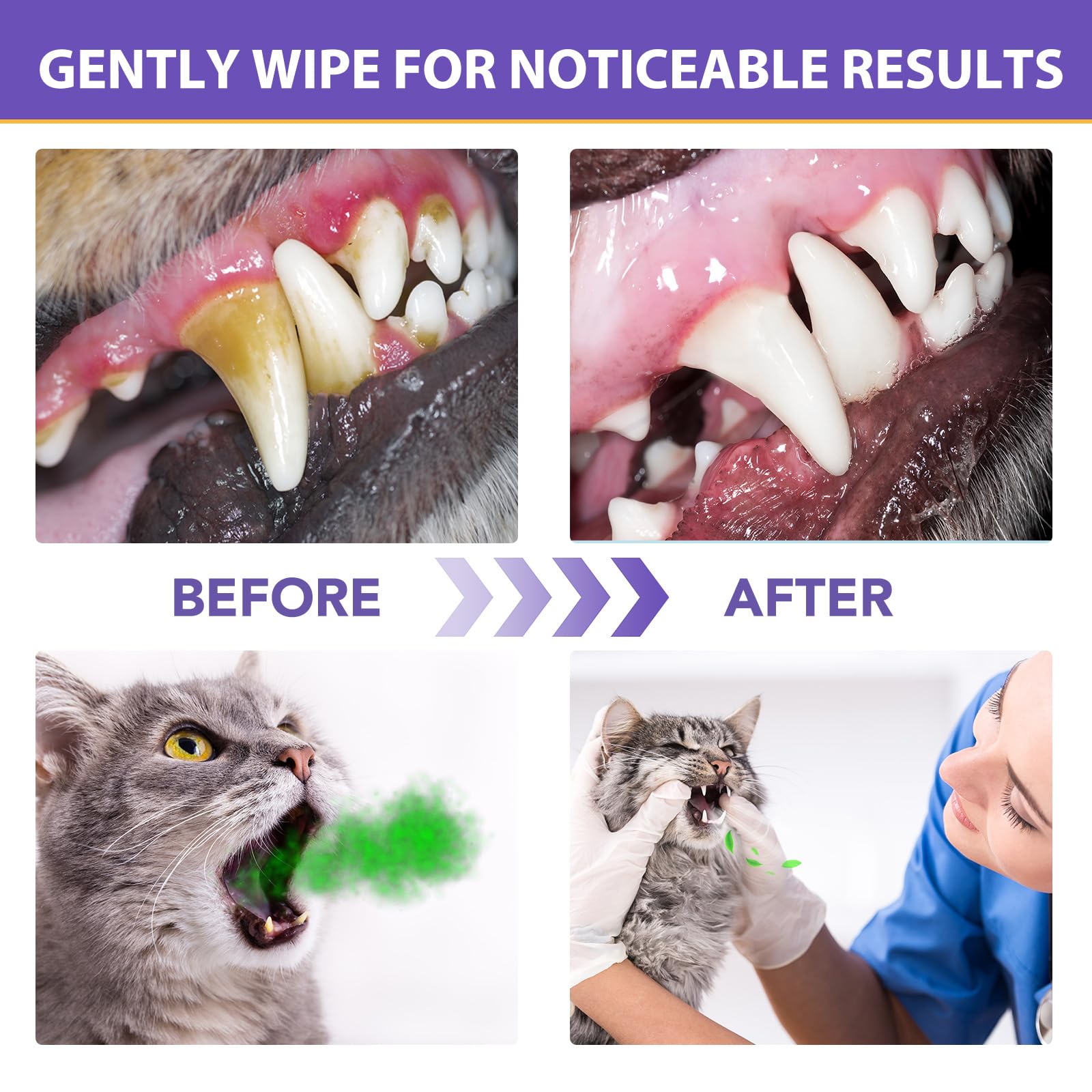 Dental Care Finger Wipes, Purple, 60 count (Pack of 1) - Image 3