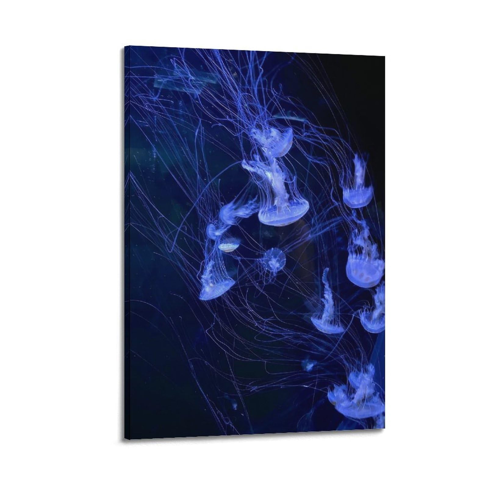 WPHSFX Marine Animal Poster Purple Light Shadow Jellyfish Poster Decorative Painting Canvas Wall Posters And Art Picture Print Modern Family Bedroom Decor Posters 20x30inch(50x75cm)