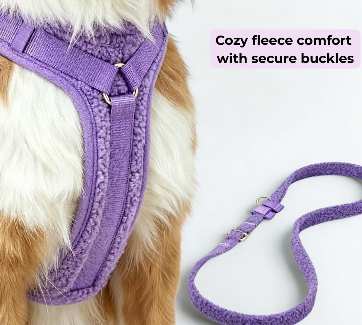 Hundegeschirr Set mit Hands-Free Leine – Gepolstertes Y Brustgeschirr für Hunde aus Teddy-Stoff, 4-Fach verstellbar, Anti-Zug Laufgeschirr zum Joggen & Spazieren für kleine & große Hunde (Lila, M)
