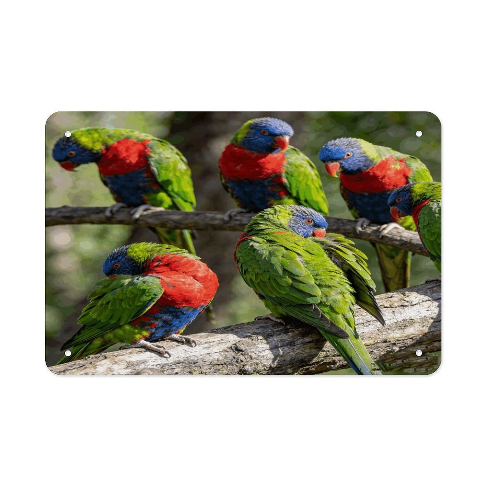 Fodpand Style Parrots Wall Art Metal Tin Signs Bar Metal Tin Sign Wall Decor For Home Living Room Bedroom Toilet Hotel Halloween Decor Gifts 7.9X 11.8 Inch