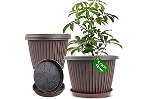Large, Clearance-Priced Planters Enhance Garden Beauty