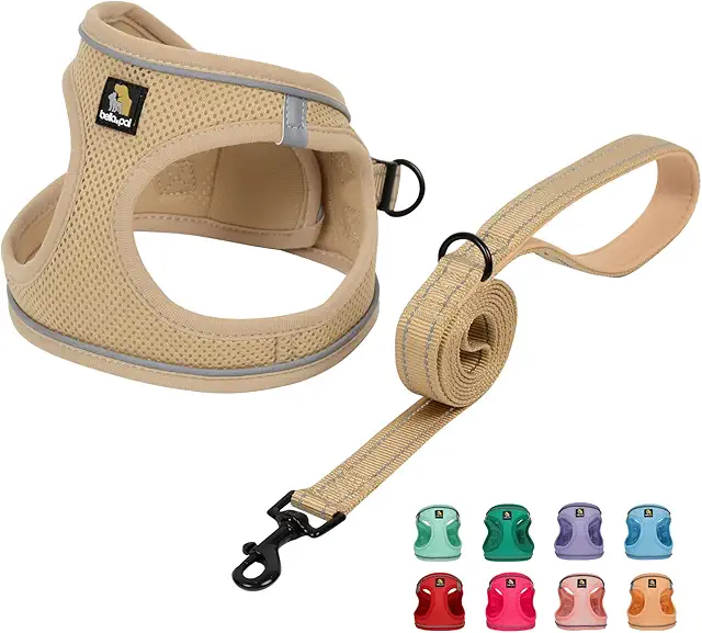 BELLA & PAL Step-in Dog Harness & Leash Set - Breathable Anti-Pull Puppy Harness