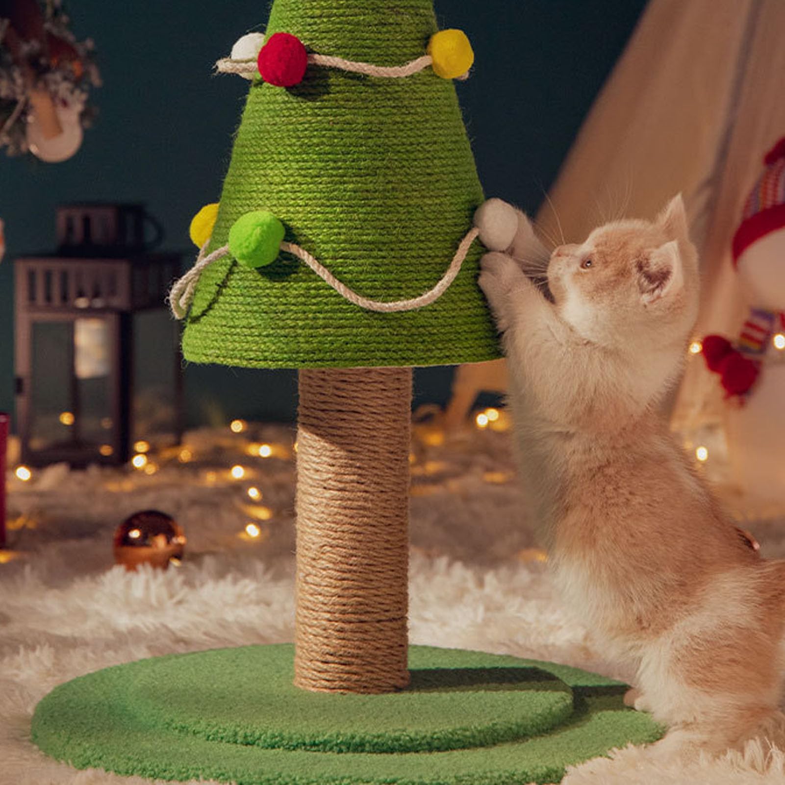 View 5