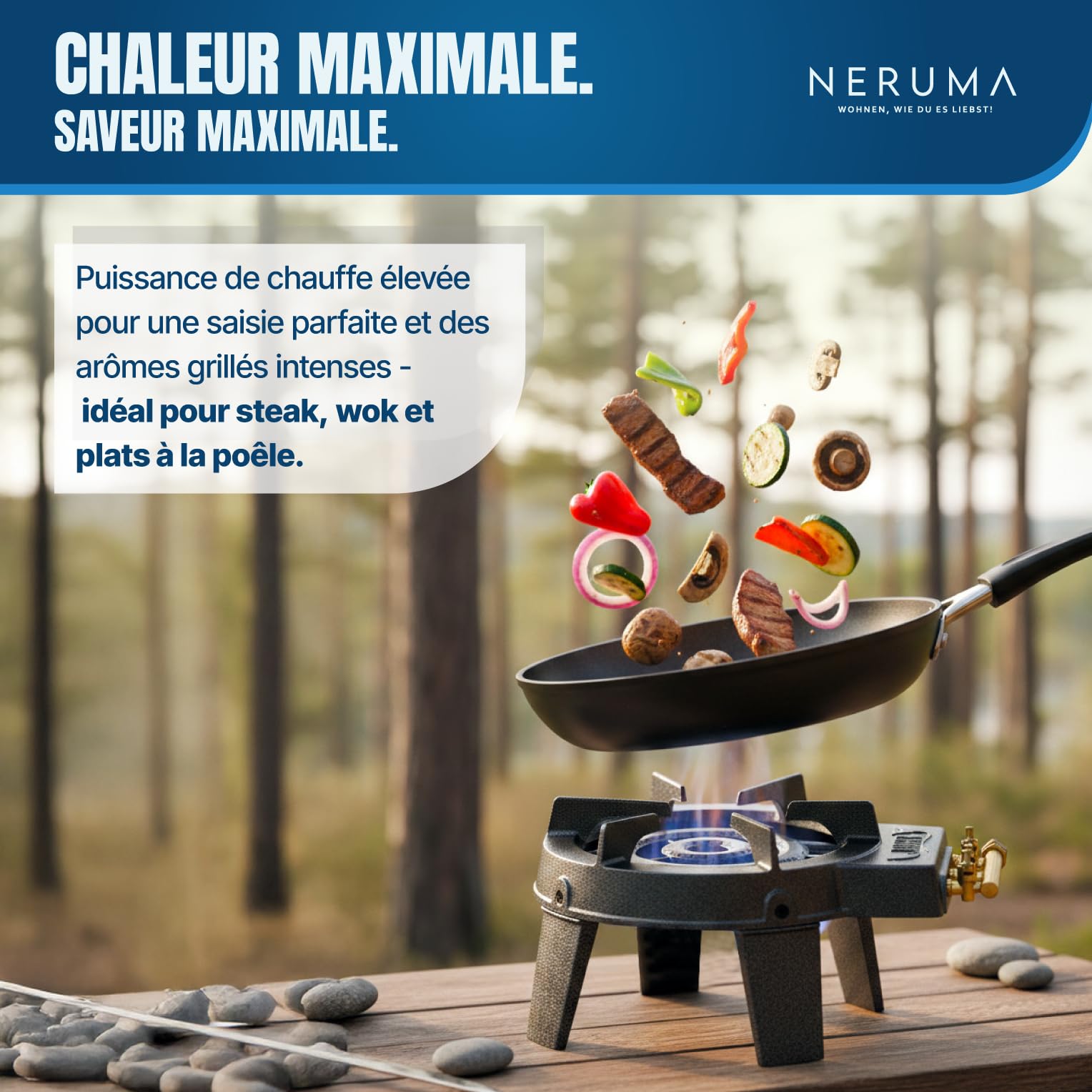 Réchaud à gaz en fonte 3 feux pour camping et extérieur, brûleur puissant pour wok et casseroles 20–36 cm, avec tuyau et détendeur