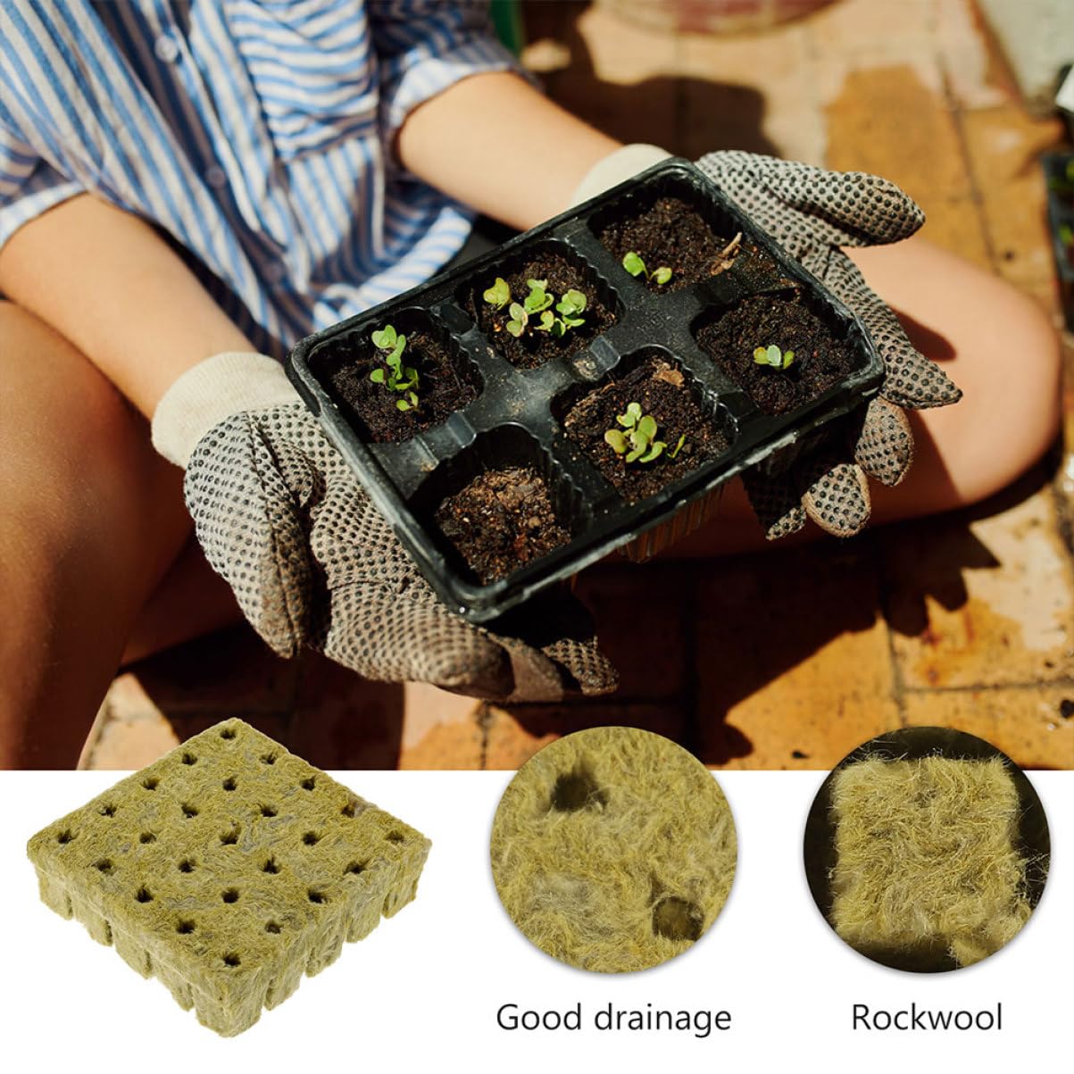 Toddmomy 3 Series Bloques De Germinación Hidropónica para De Plantas Iniciación Y Propagación Sin Suelo 50 Piezas*3