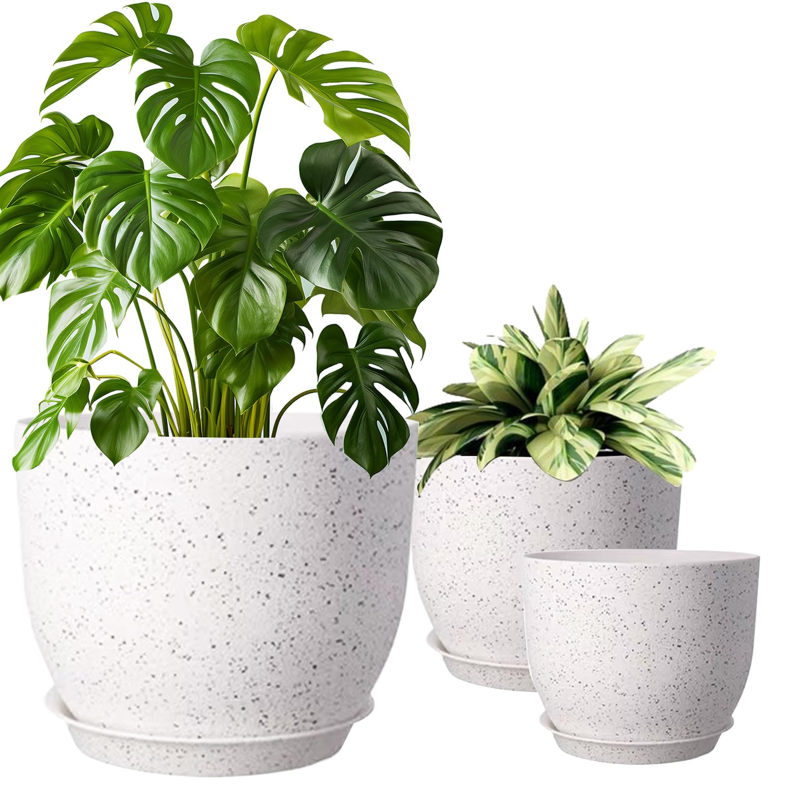 Short De Vélo Femme Longueur Coolmax Rembourré - Noir - Taille XS à XL - Confort Anti-bactérien