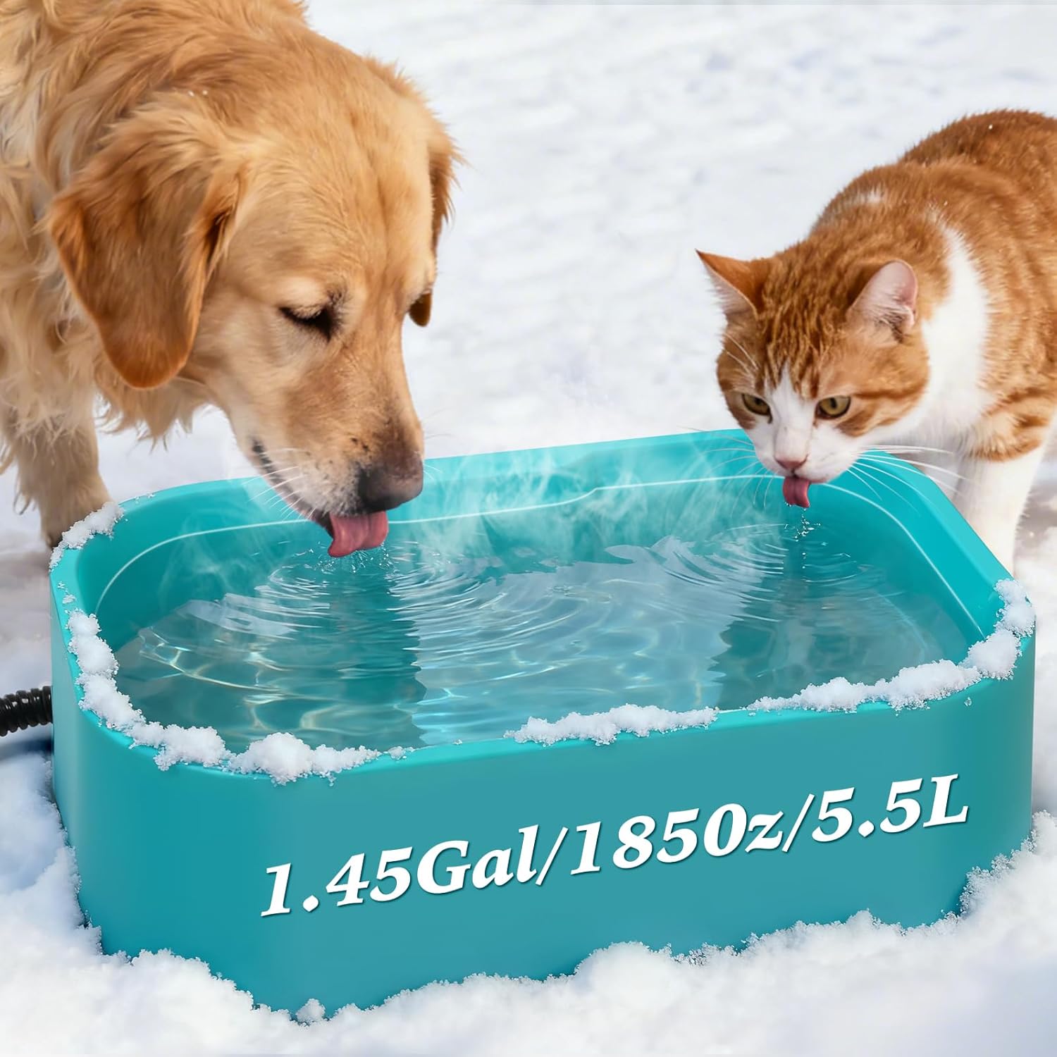 IPOW 1.45 Gallon Heated Water Bowl for Pets – Winter Warmth & Food